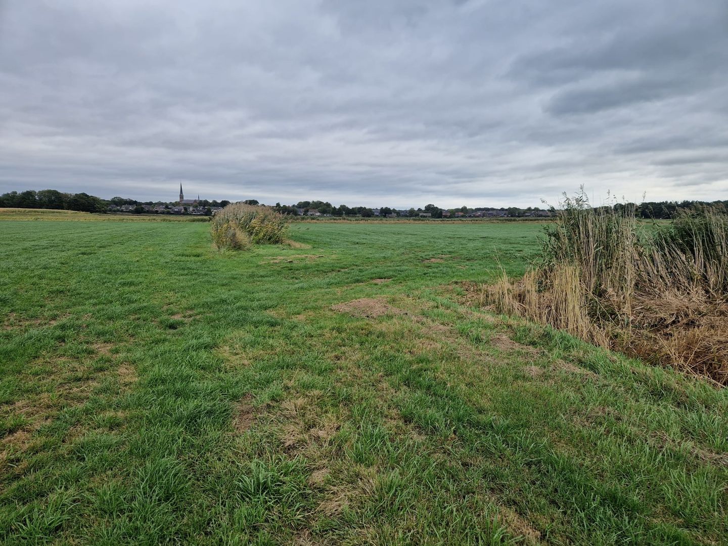 Bekijk foto 5 van Nieuweweg
