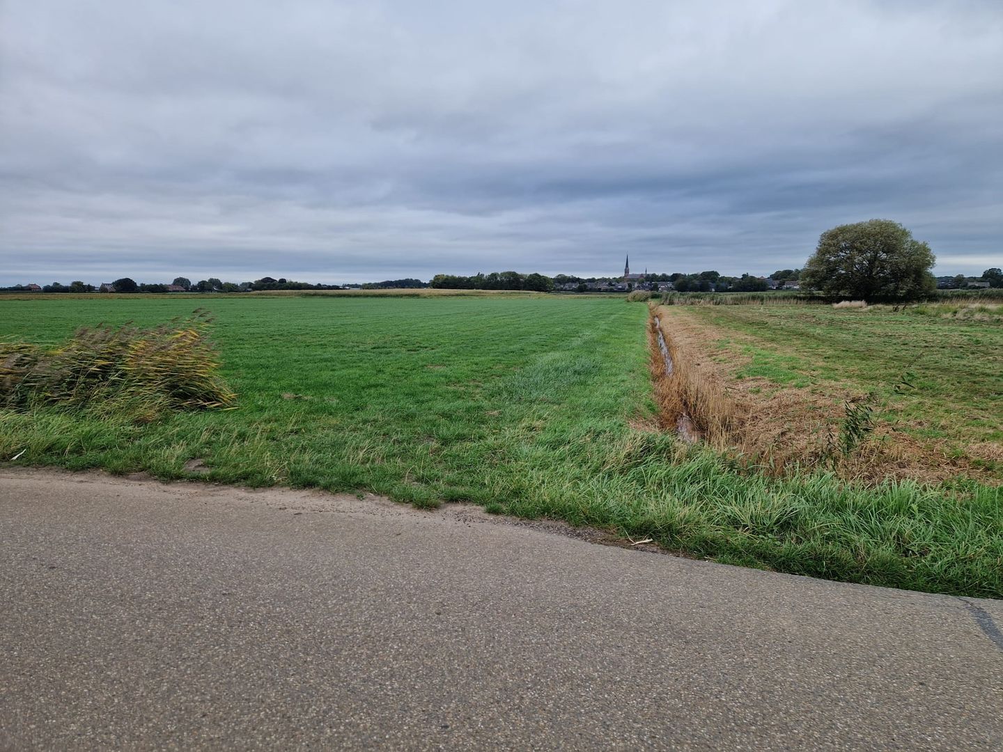 Bekijk foto 4 van Nieuweweg