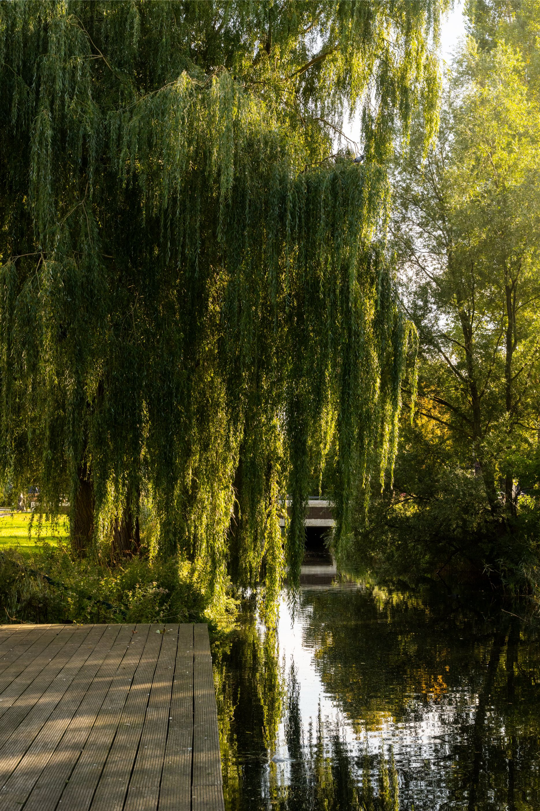 Foto 33 van Postjesweg 314