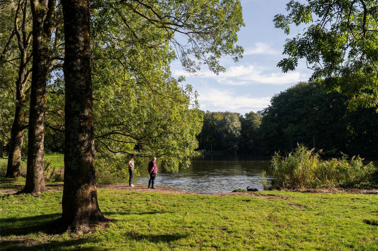 Foto 34 van Postjesweg 314