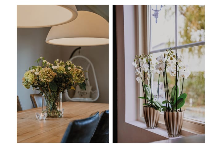 Photo 13 of Brouwersstraat 38