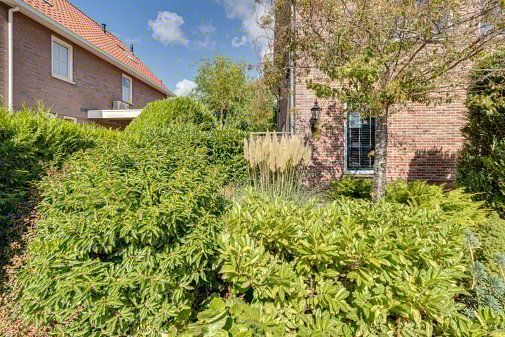 Foto 6 van Tarwestraat 8