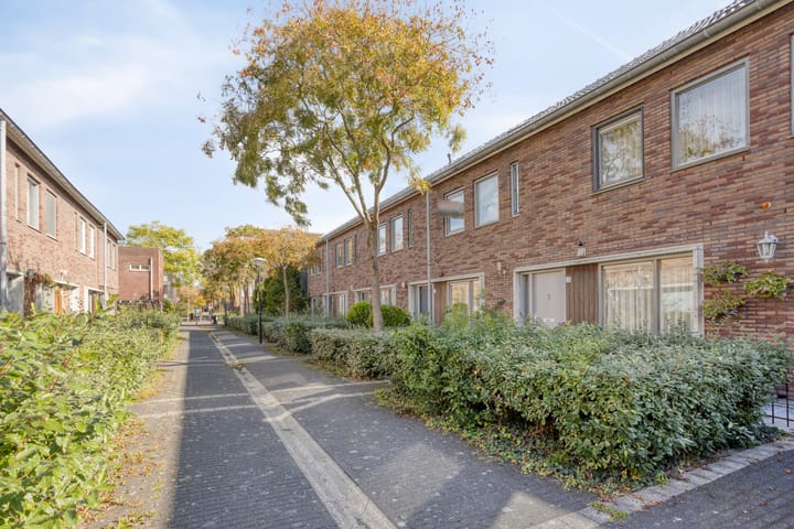 Photo 8 of Kospad 31