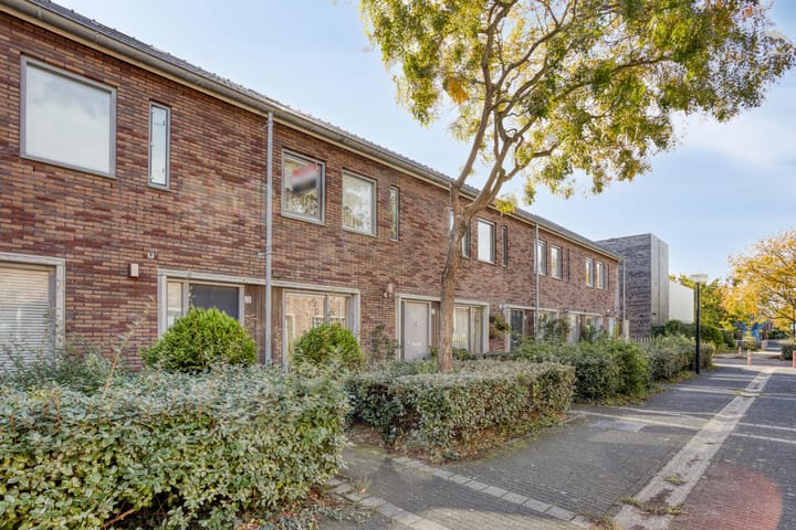 Photo 7 of Kospad 31