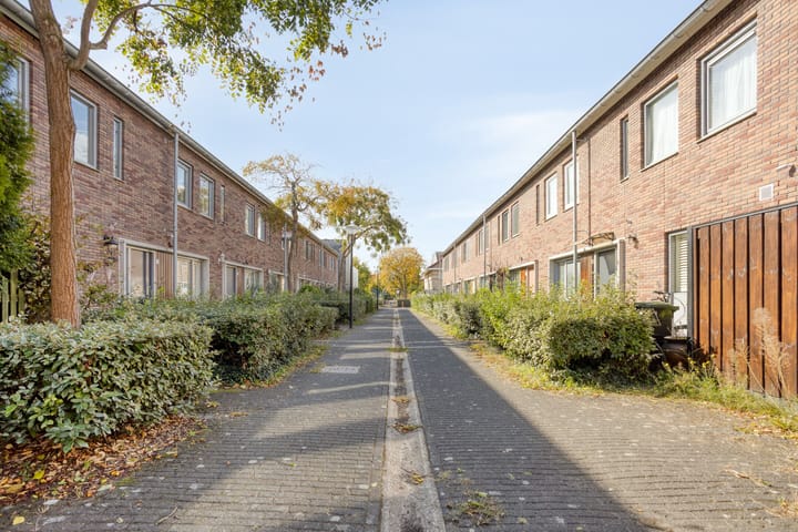 Photo 32 of Kospad 31