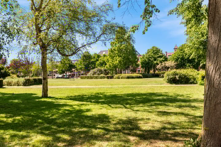 Photo 46 of Nassaulaan 32