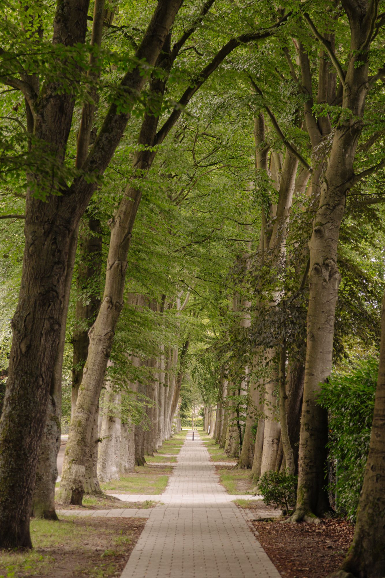 Foto 44 van Bremhorstlaan 13