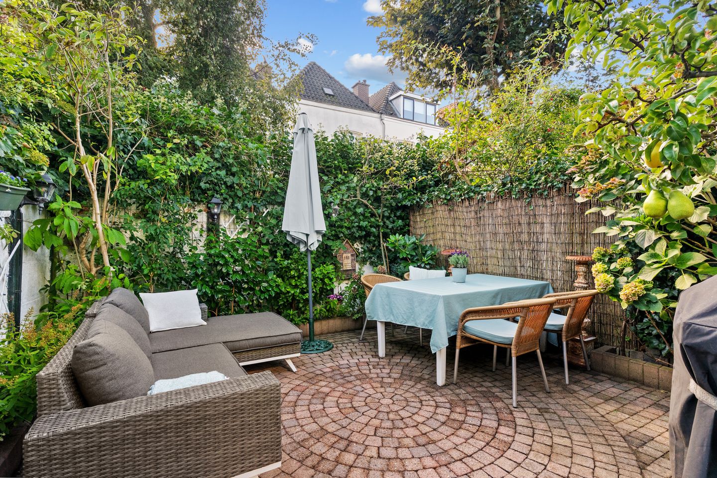 Foto 19 van Chasséstraat 6