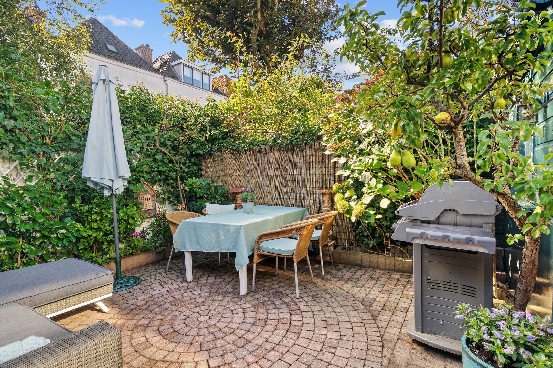 Foto 18 van Chasséstraat 6