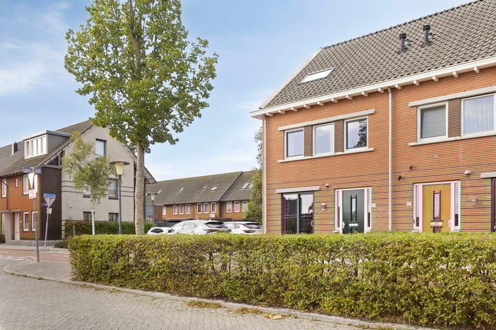 Foto 37 van Tenerife 17