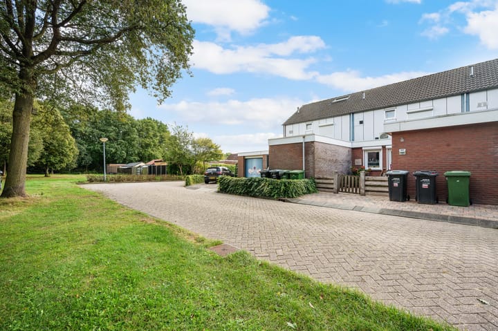 Foto 3 van Akkerdistel 121