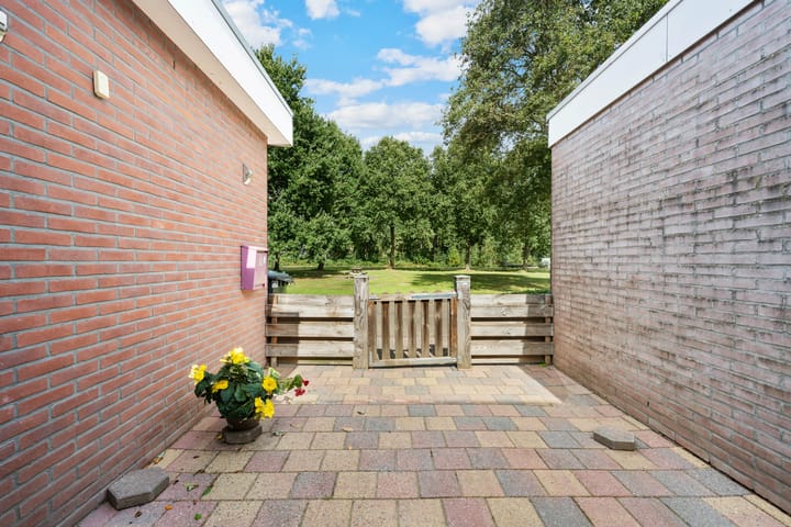 Foto 2 van Akkerdistel 121