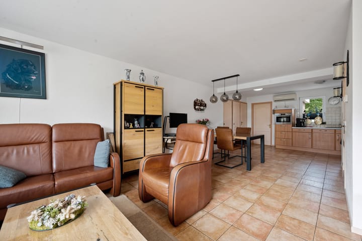 Foto 14 van Akkerdistel 121