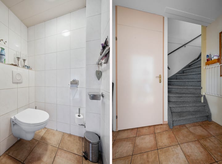 Foto 16 van Akkerdistel 121