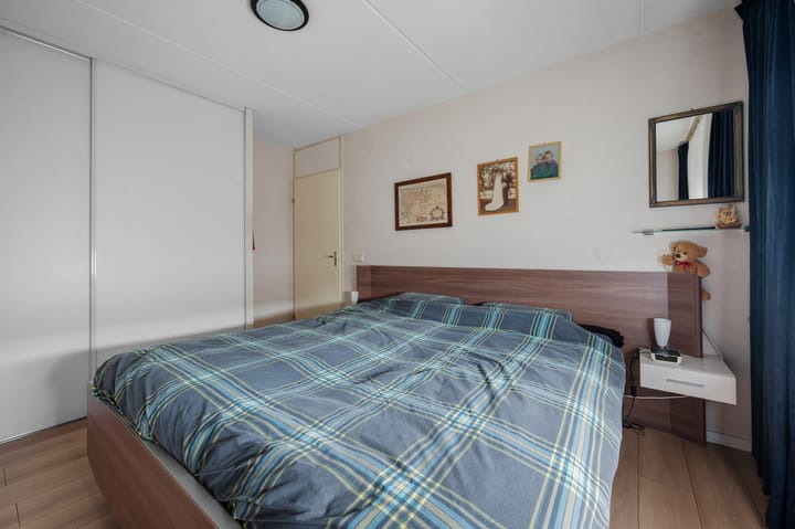 Foto 19 van Akkerdistel 121