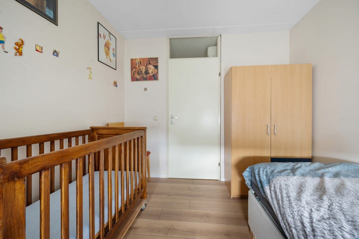 Foto 21 van Akkerdistel 121