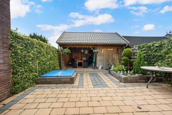 Foto 29 van Akkerdistel 121