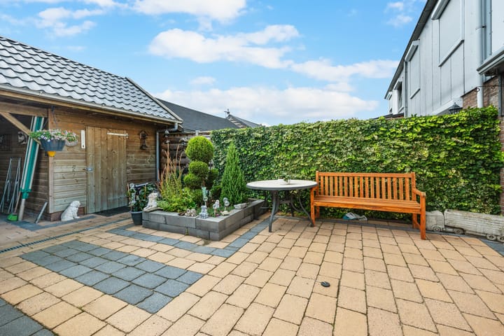 Foto 30 van Akkerdistel 121