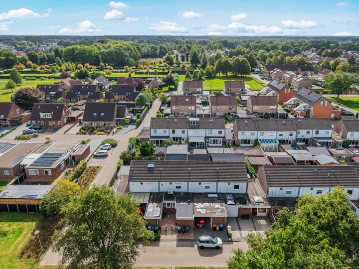 Foto 34 van Akkerdistel 121