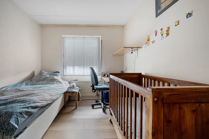 Foto 20 van Akkerdistel 121