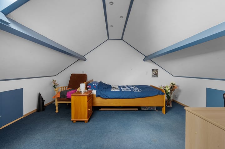 Foto 25 van Akkerdistel 121