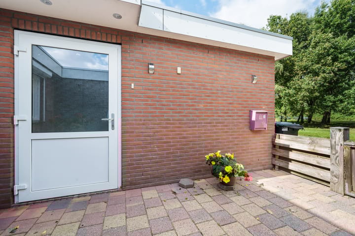 Foto 33 van Akkerdistel 121