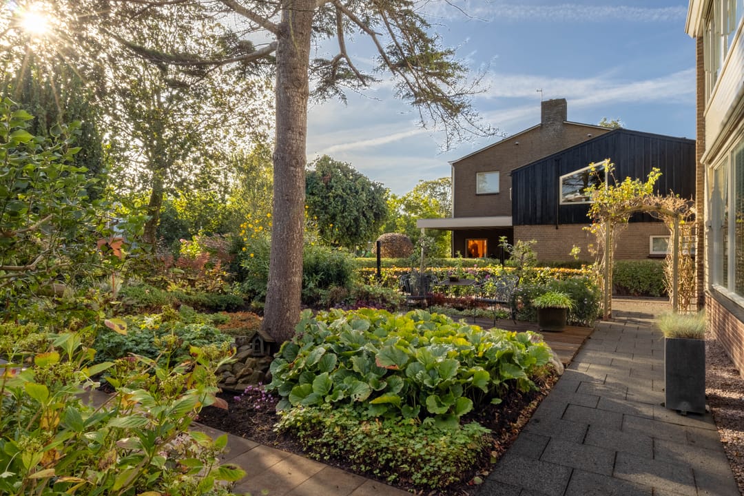 Foto 8 van Jacob Catsstraat 16