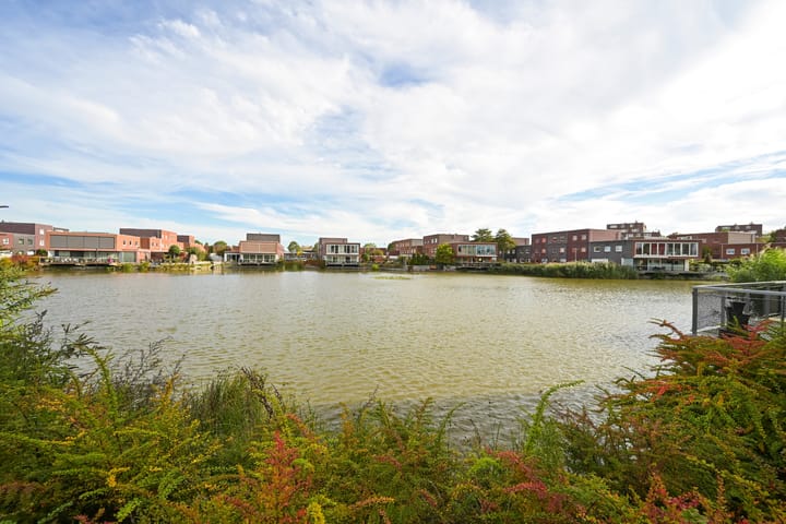 Foto 54 van Alikruikhof 6