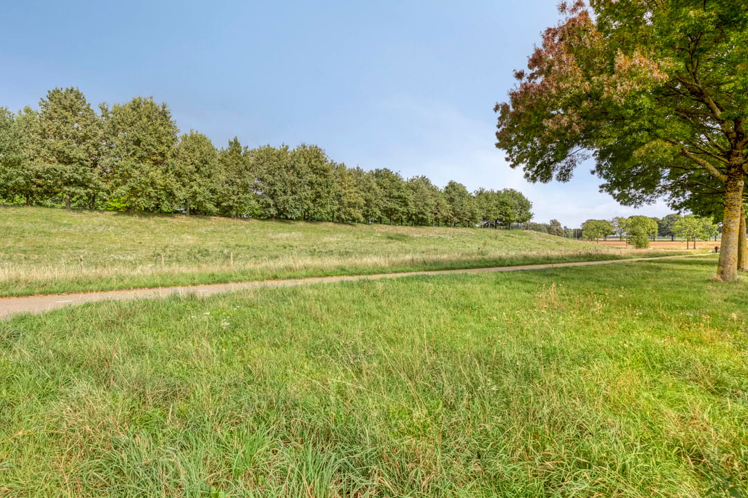 Foto 37 van Forsythiastraat 11