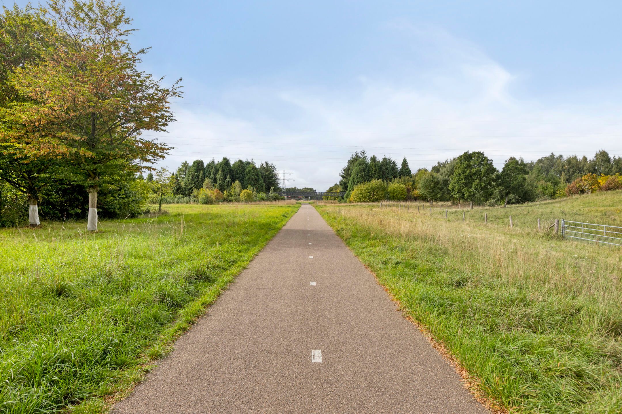 Foto 39 van Forsythiastraat 11