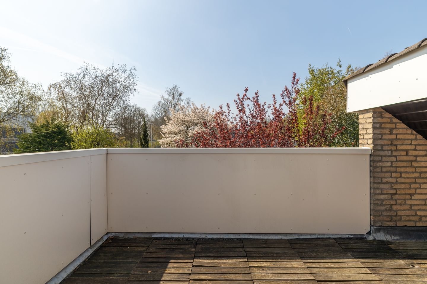 Photo 29 of Wilhelminastraat 49