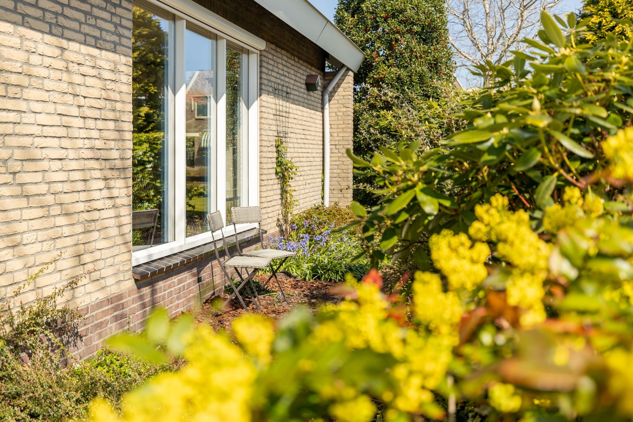 Photo 36 of Wilhelminastraat 49