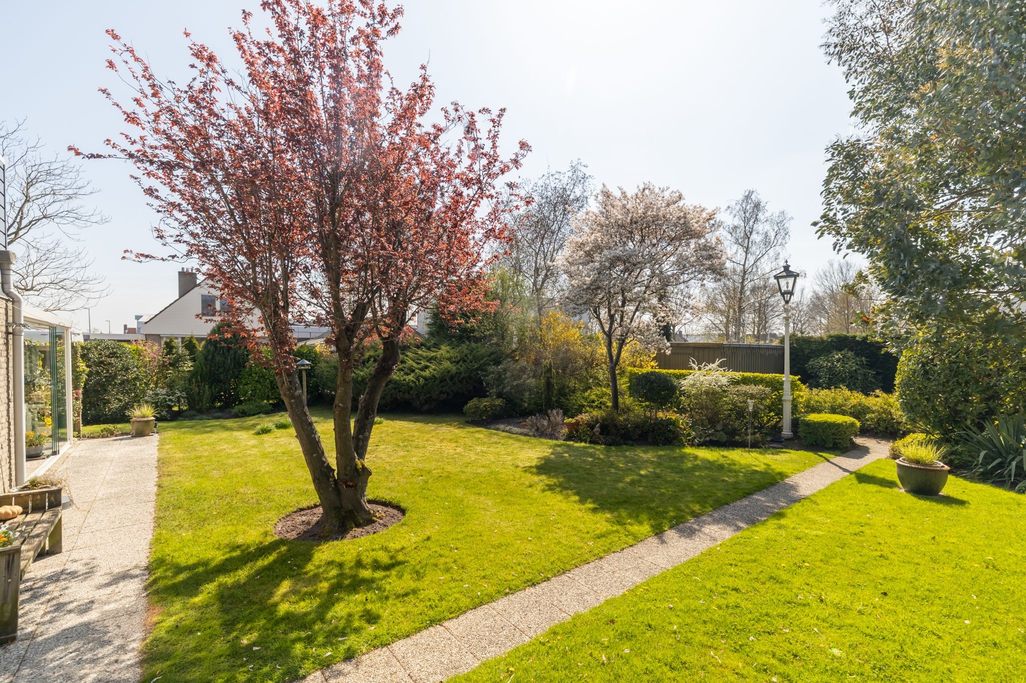 Photo 39 of Wilhelminastraat 49