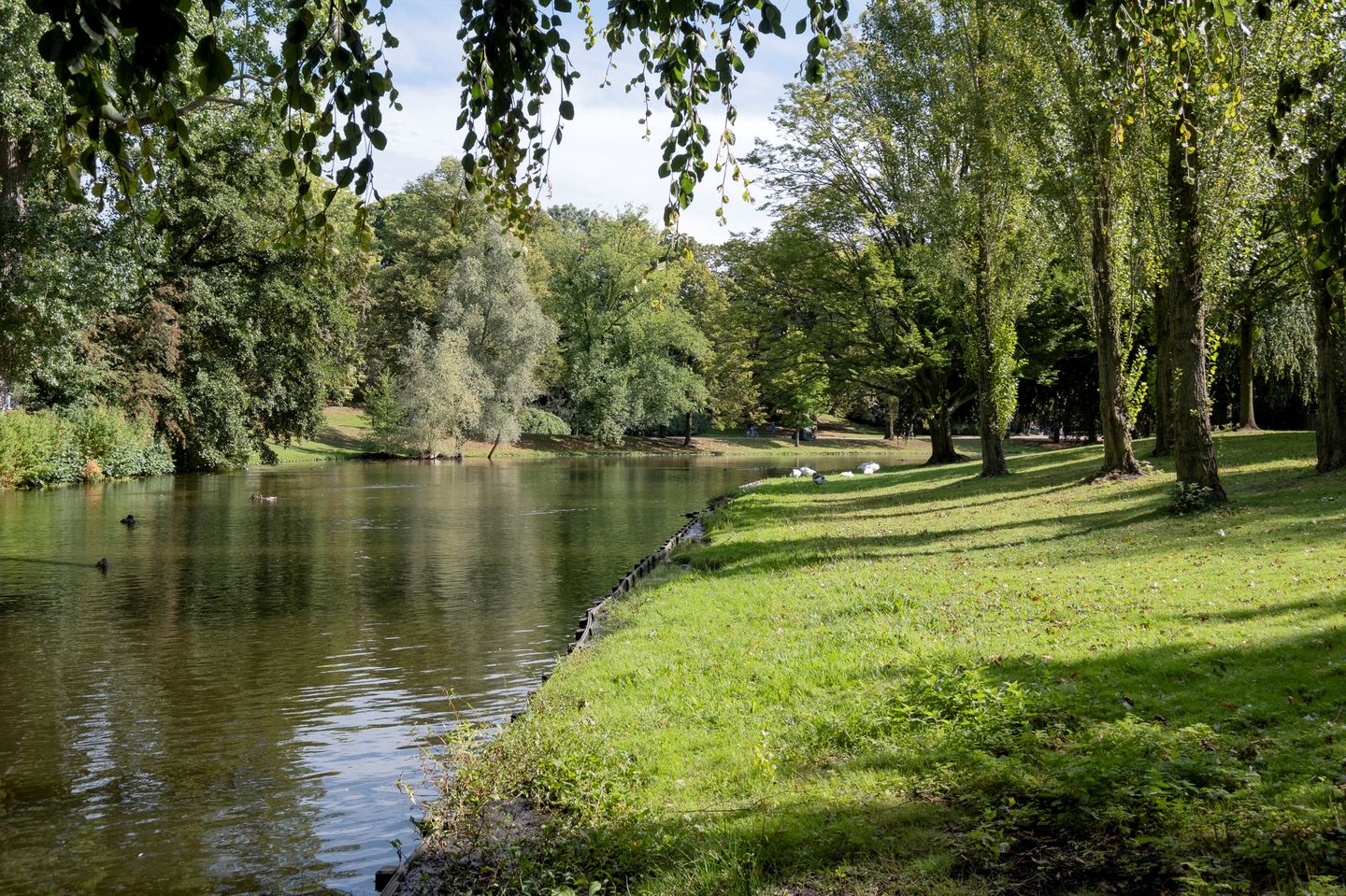 Foto 44 van Prinsesseweg 77