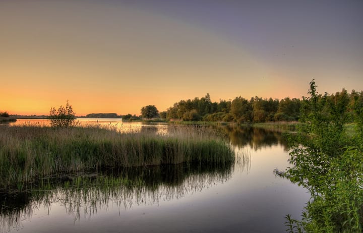 Foto 47 van Apollolaan 25