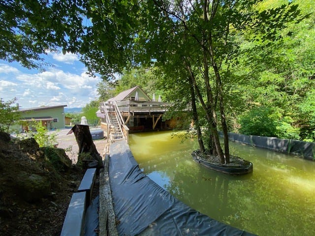 Foto 35 van Skerešova 358