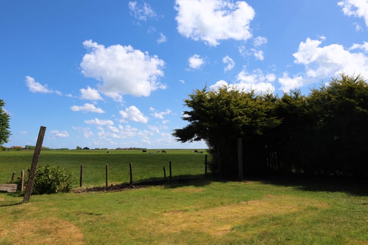 Photo 24 of Baaiduinen 16