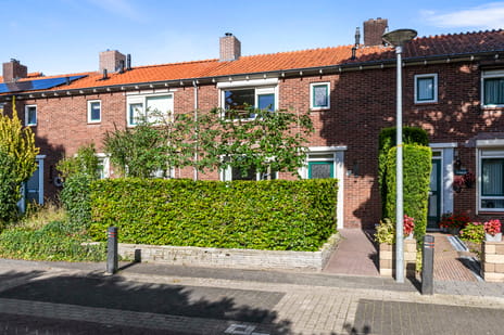 undefined main image