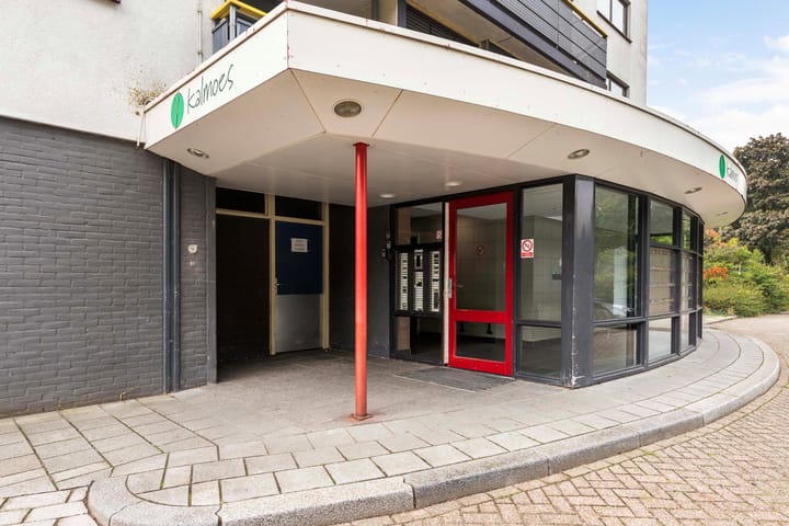 Foto 5 van Kalmoesstraat 161