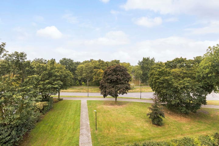 Foto 28 van Kalmoesstraat 161