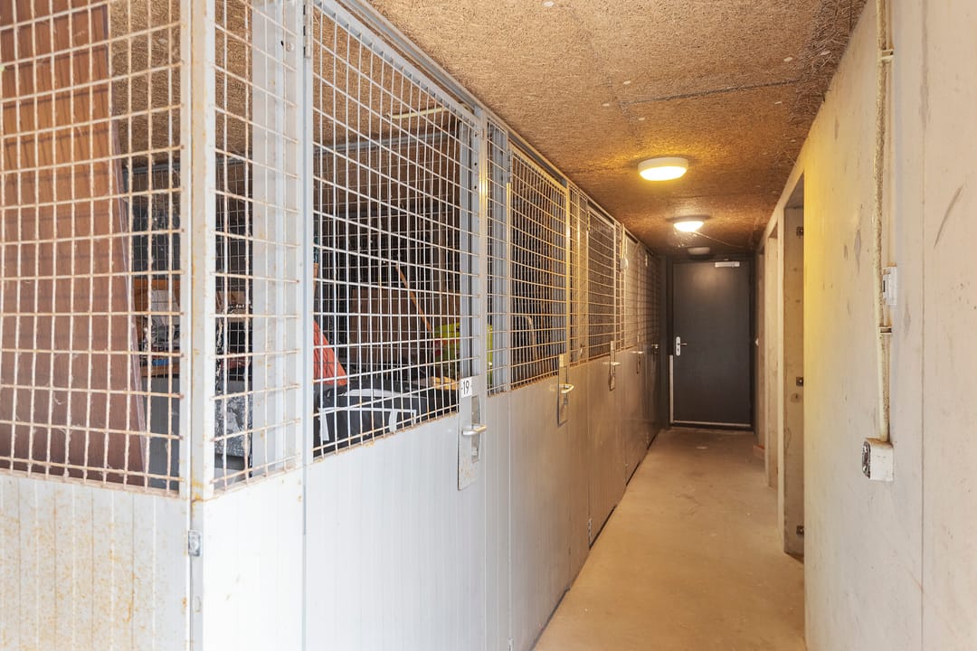 Foto 26 van Juf van Kempenstraat 17