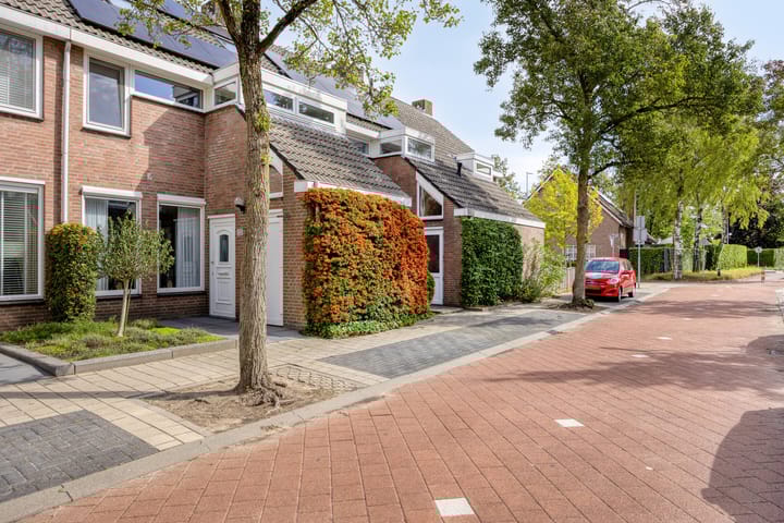 Foto 2 van Haneven 49