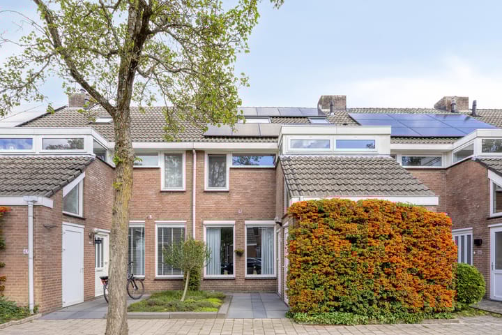 Foto 3 van Haneven 49