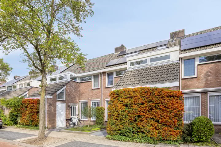 Foto 9 van Haneven 49