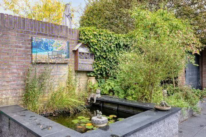 Foto 42 van Haneven 49