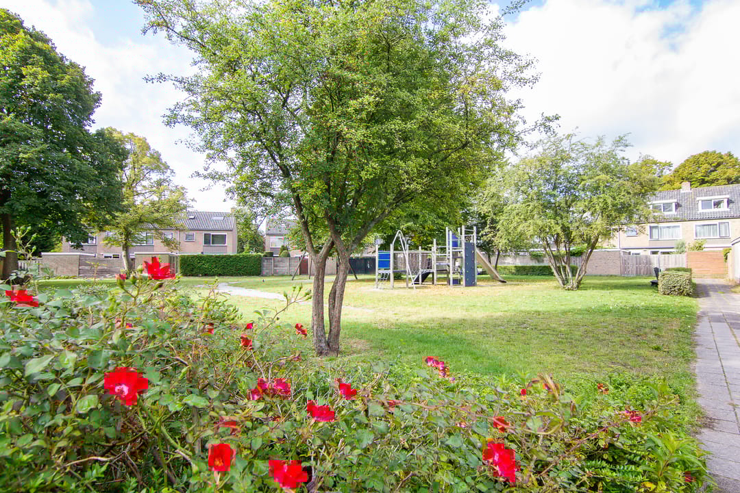 Foto 46 van Amstellaan 19