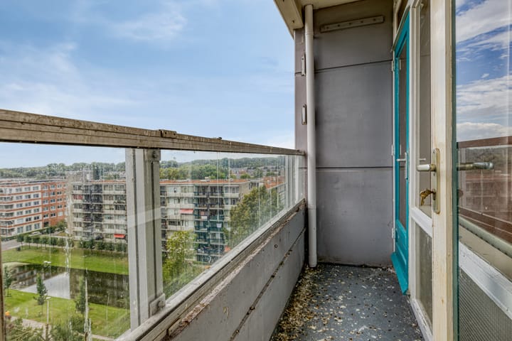 Foto 4 van Plein 1953 161