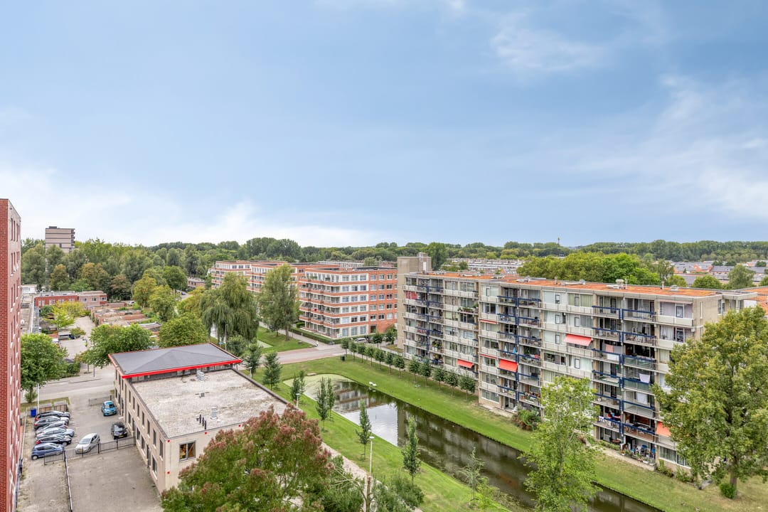 Foto 22 van Plein 1953 161