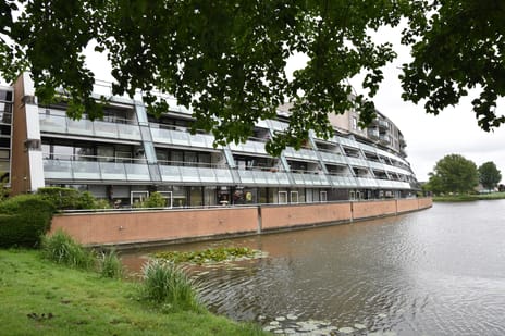 Rosa Luxemburgpark 31