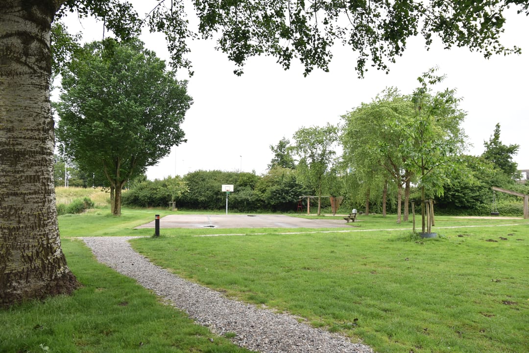 Foto 22 van Rosa Luxemburgpark 31